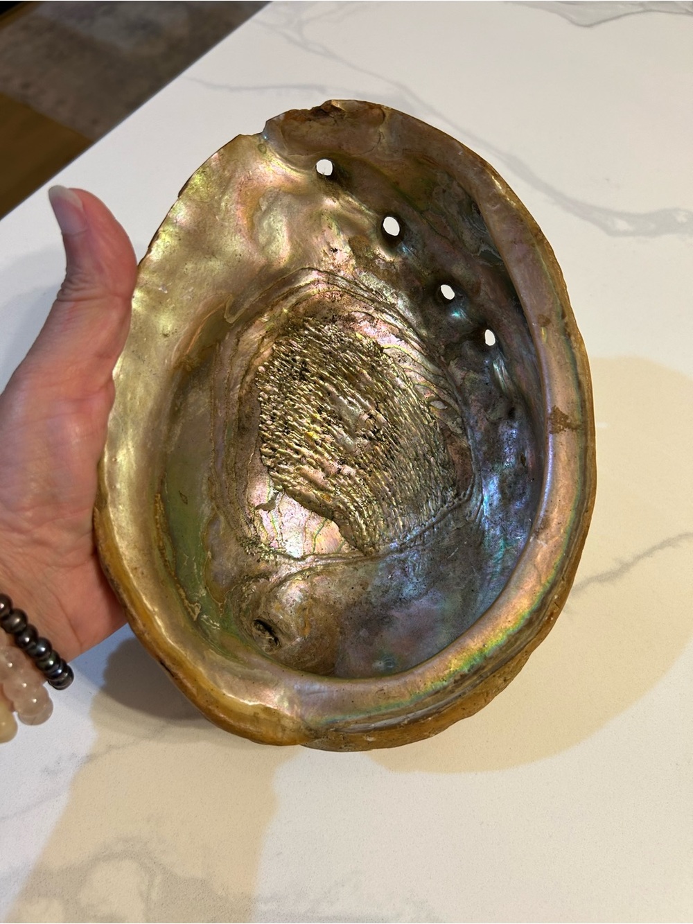 Beautiful Natural Iridescent Abalone Shell Decor - Iridescent Green